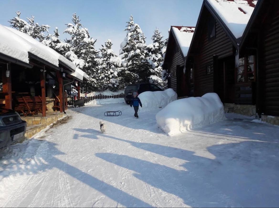 Вілла Zlatibor Brvnare Zakos Екстер'єр фото